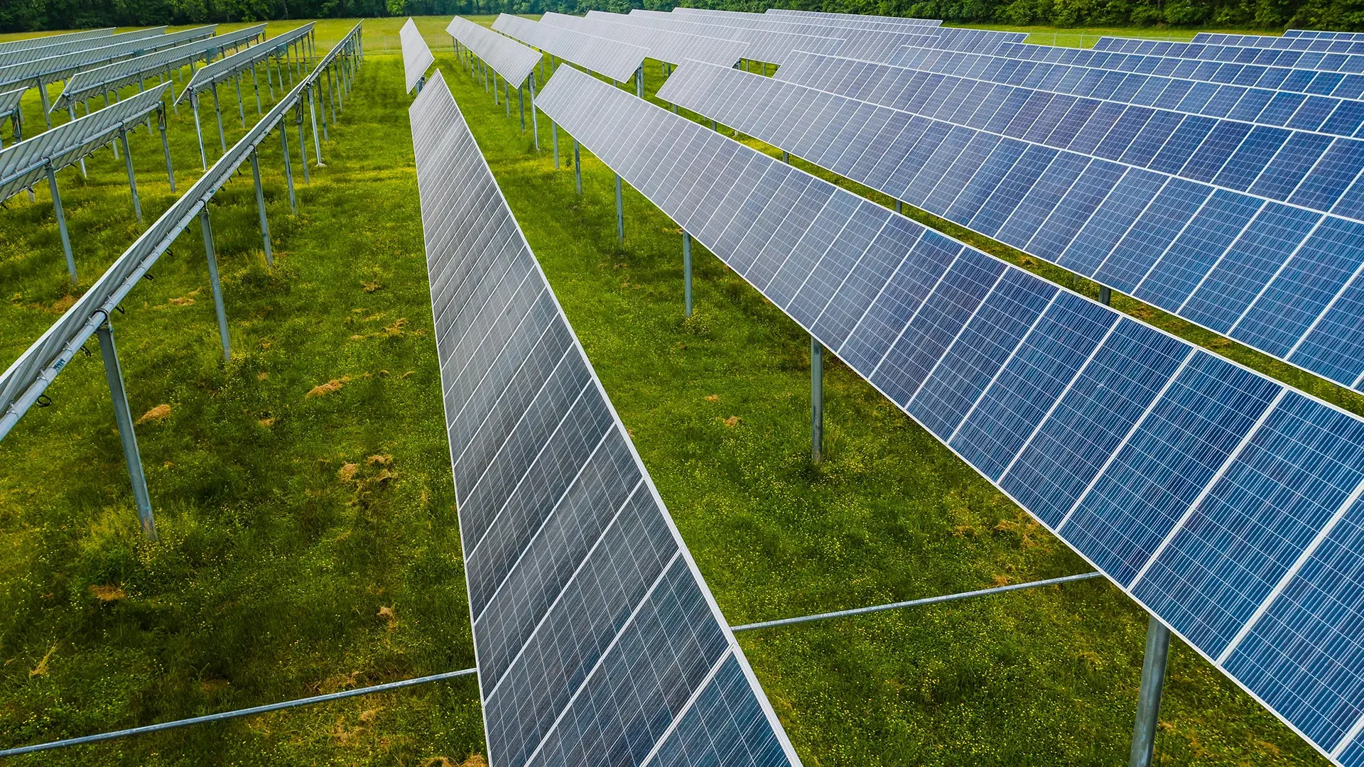 Solar panel arrays — Efacec clean-energy partnership